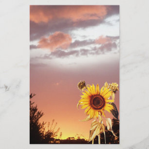 SUNFLOWER AND PINK SUMMER SUNSET STATIONERY