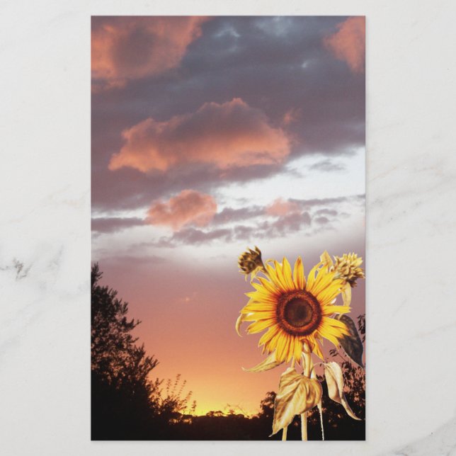 SUNFLOWER AND PINK SUMMER SUNSET STATIONERY (Front)