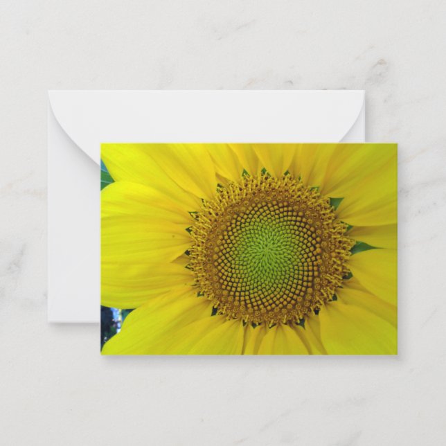 Sunflower and Seeds, Spiral, Golden Ratio  Card (Front)