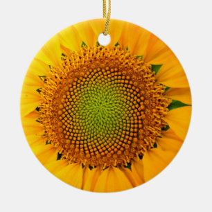 Sunflower and Seeds, Spiral, Golden Ratio Ceramic Ornament