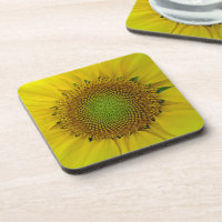 Sunflower and Seeds, Spiral, Golden Ratio