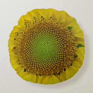 Sunflower and Seeds, Spiral, Golden Ratio Round Cushion