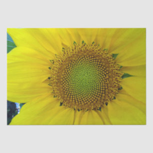 Sunflower and Seeds, Spiral, Golden Ratio Tissue Paper
