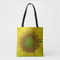 Sunflower and Seeds, Spiral, Golden Ratio