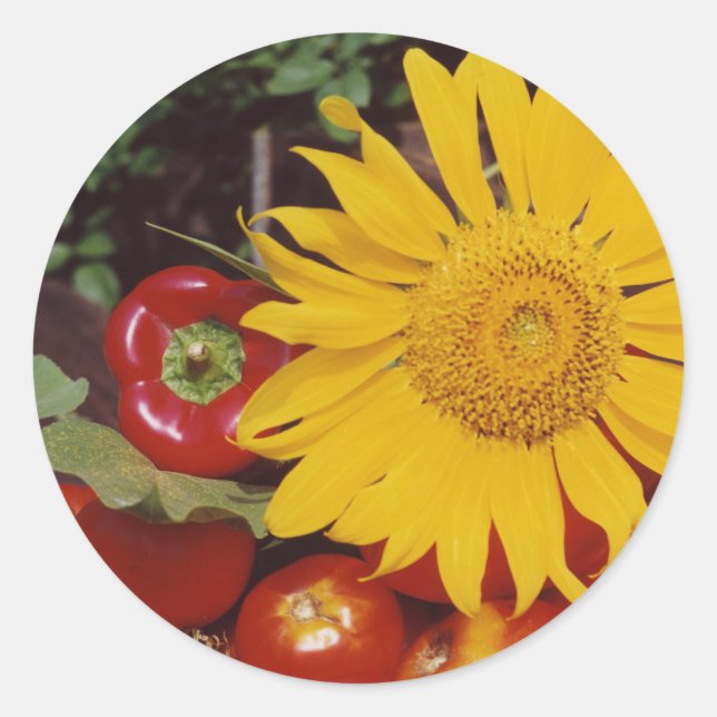 Sunflower and Vegetables - Tomatoes, Red Peppers Classic Round Sticker (Front)