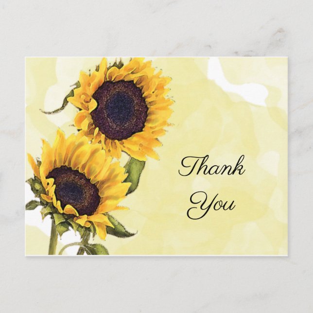 Sunflower and Watercolor in Sunshine Thank You Postcard (Front)