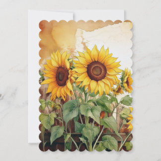 Sunflower Announcement