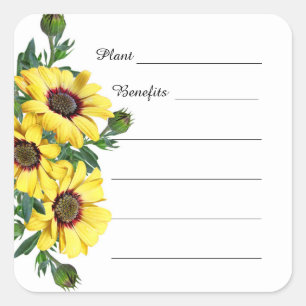 Sunflower Apothecary Herbs Plant Benefits Sticker
