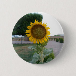 Sunflower Art Print 6 Cm Round Badge