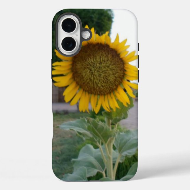 Sunflower Art Print Case-Mate iPhone Case (Back)