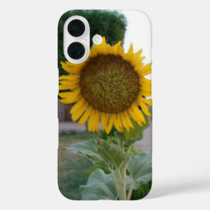 Sunflower Art Print iPhone 16 Case