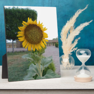 Sunflower Art Print Customise Product Plaque