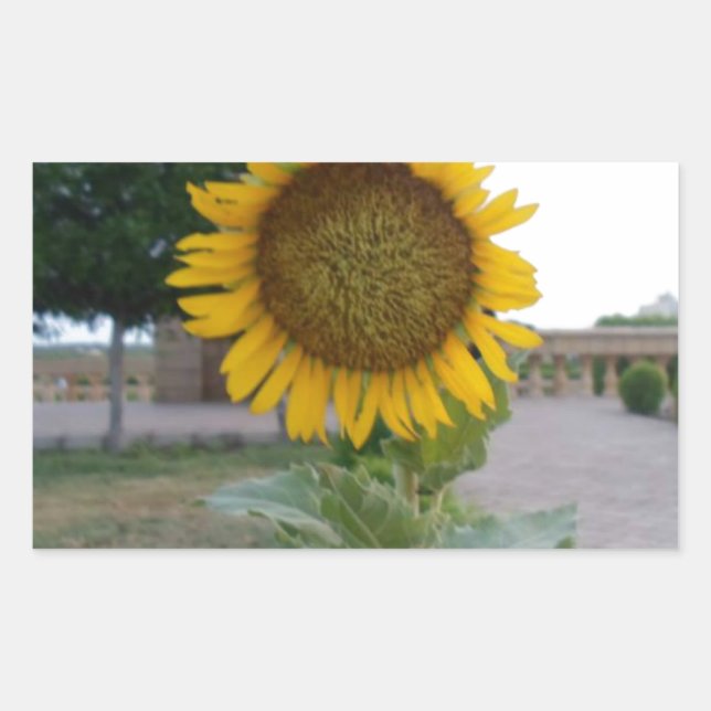 Sunflower Art Print Rectangular Sticker (Front)