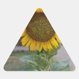Sunflower Art Print Triangle Sticker