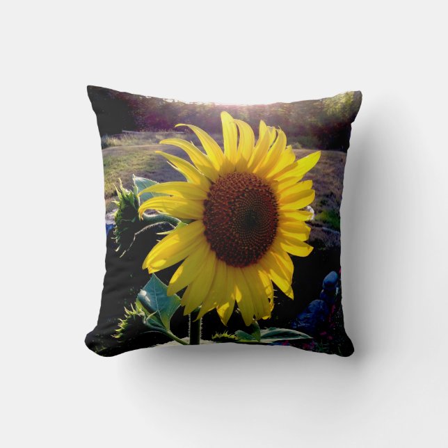 Sunflower at Sunset --- Cushion (Front)