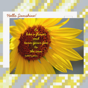 Sunflower Be Like a Flower quote Photographic Postcard