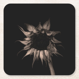 Sunflower - Beautiful Unique Cool Fine Art Square Paper Coaster