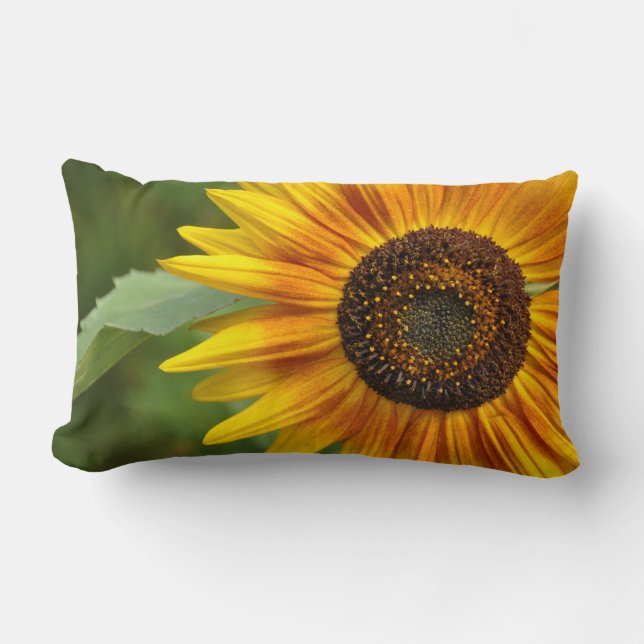 Sunflower beauty lumbar cushion (Front)