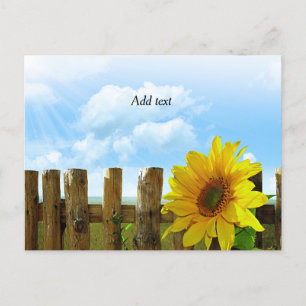 Sunflower Beauty Template Postcard