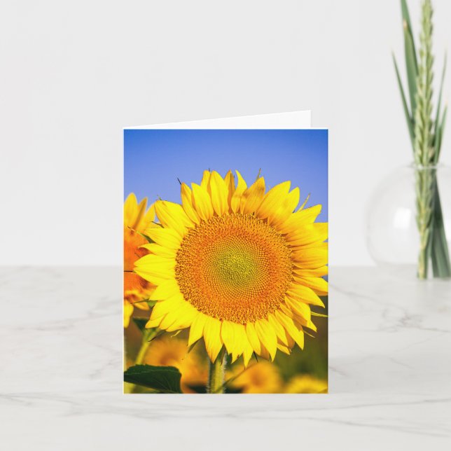 Sunflower Beauty Thank You Card (Front)