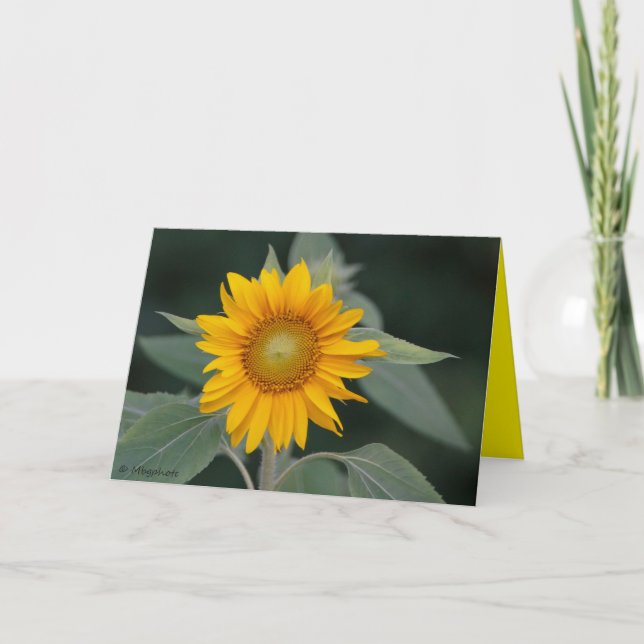 Sunflower Beauty Thank You Card (Front)