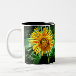 Sunflower Beauty Two-Tone Coffee Mug