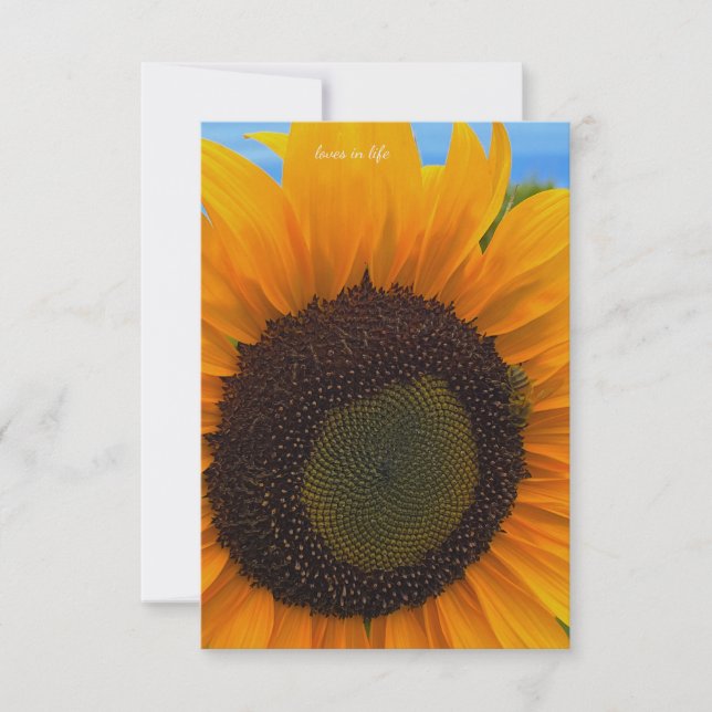 Sunflower, Bee & Sky Card (Front)