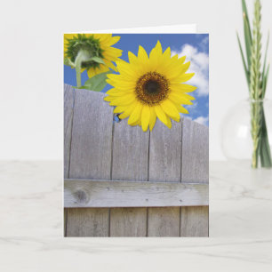 Sunflower Birthday Card