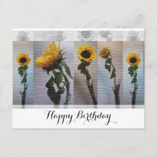 Sunflower Birthday Postcard