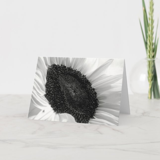 Sunflower Black and White Photograph Card (Front)