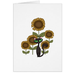 Sunflower Black Cat