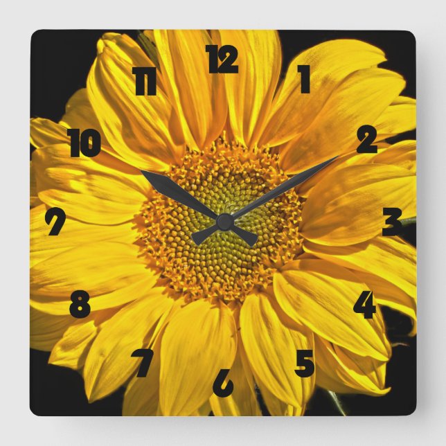 Sunflower Black Fat Numbers wcm Square Wall Clock (Front)