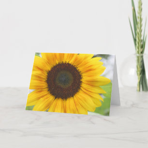 Sunflower Blank  Card