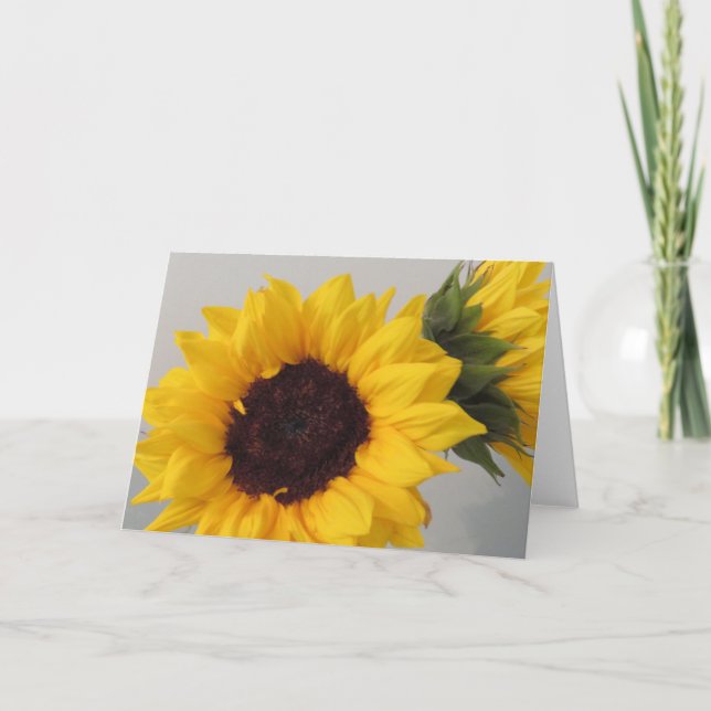 Sunflower blank card (Front)