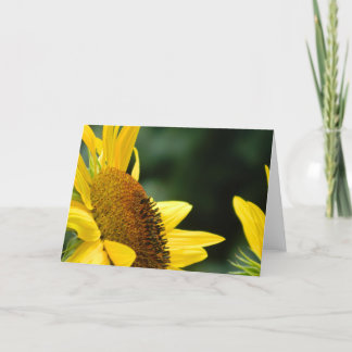 Sunflower Blank Greeting Card