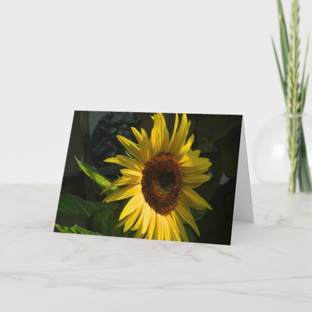Sunflower Blank Greeting Card (Front)