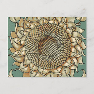 Sunflower Bloom on Blue-green Background Postcard