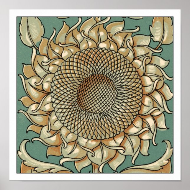 Sunflower Bloom on Blue-green Background Poster (Front)