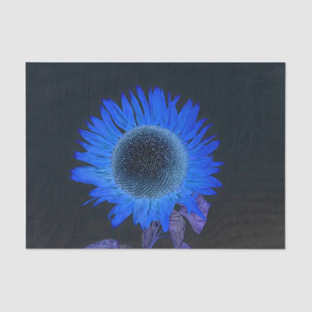 Sunflower Blue Purple Black Single Rustic Pop Art Tissue Paper (Front)
