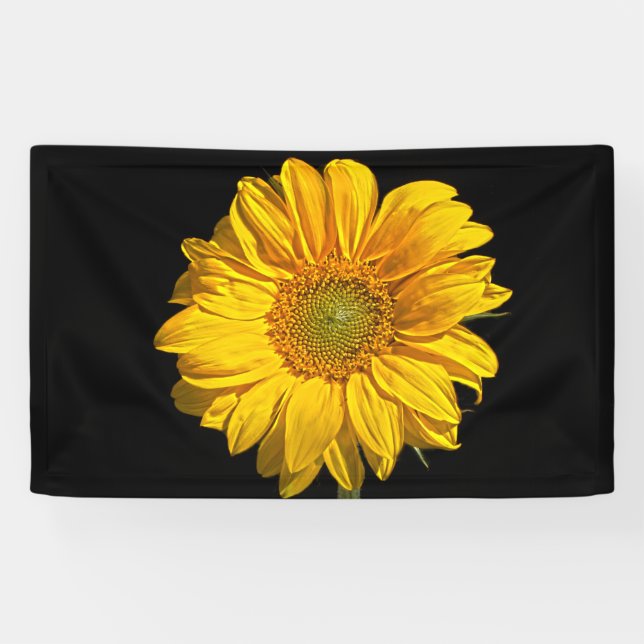 Sunflower bnrcnm banner (Horizontal)