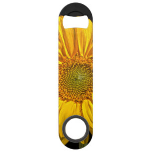 Sunflower bocn