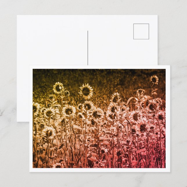 "Sunflower Brigade" Postcard  (Front/Back)