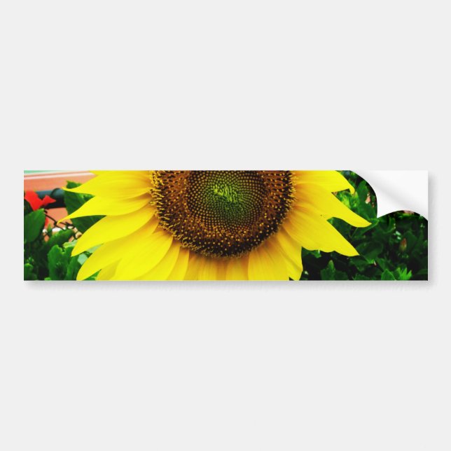 Sunflower Bumper Sticker (Front)