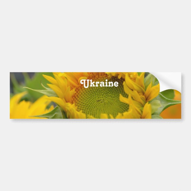 Sunflower Bumper Sticker (Front)