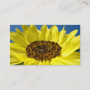 Sunflower Business Cards Floral custom Sunflowers