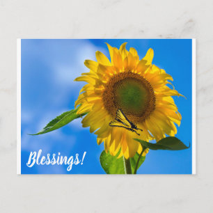 Sunflower & Butterfly Postcard