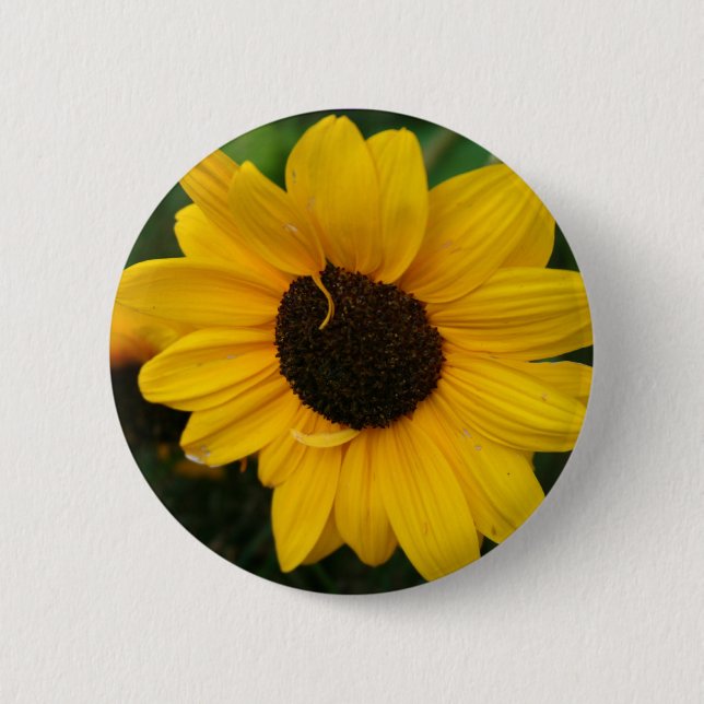 Sunflower Button (Front)