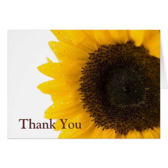 sunflower by Petr Kratochvil, Thank You Note Card