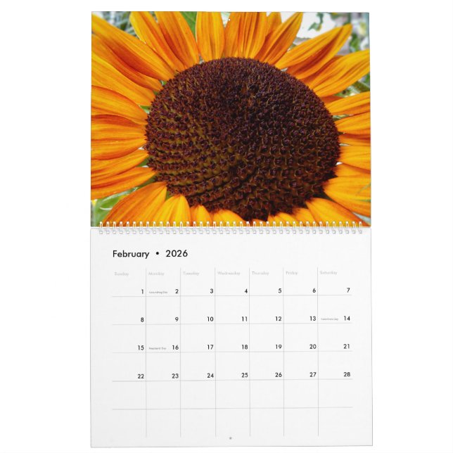 Sunflower calendar - Sunflowers of the month 2020 (Feb 2026)