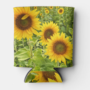 Sunflower  can cooler